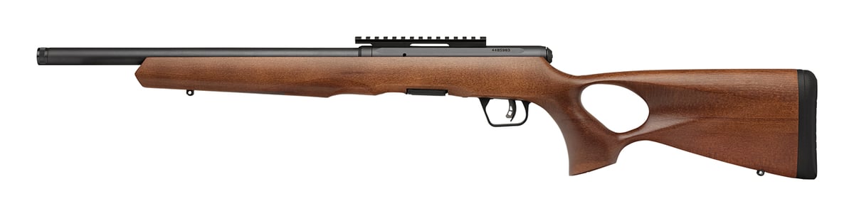 SAVAGE ARMS B17 TIMBER THUMBHOLE - Bolt Action Image 2 | The Gun Shop