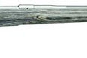 Kimber 84M Pro Varmint, .204 Ruger, 22", Gray Laminate Stock, Polished SS