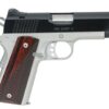 Kimber Pro Carry II (Two-Tone) 45 ACP