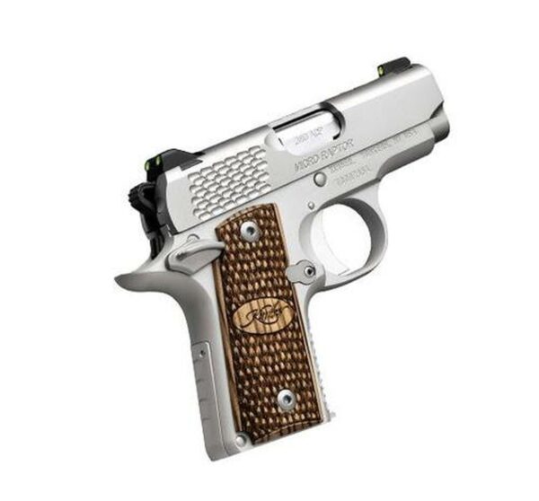 Kimber Micro Raptor Stainless Finish 380 ACP