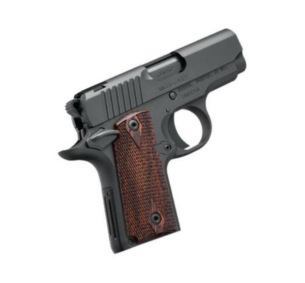 Kimber Micro RCP .380 ACP