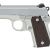 Kimber Micro Stainless Rosewood .380 ACP