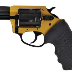 Charter Arms Undercoverette .32 H&R 2" Barrel Gold and Black 5rd