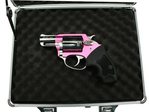 Charter Arms Chic Lady, .38 Special, 2" Barrel, 5rd, Pink/Stainless