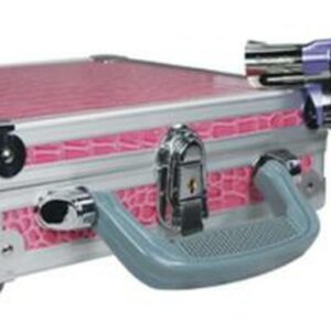 Charter Arms Chich Lady, .38 Special 2" Barrel, 5rd, Polished/Lavender