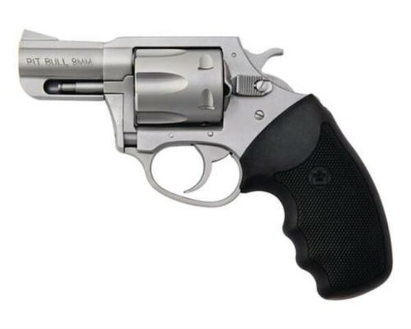 Charter Arms Pitbull 9mm, 2" Barrel, Stainless, 5rd