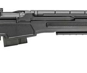 Springfield M1A 6.5mm Creedmoor 22 " SS Barrel Black Precision Adjustable Stock, 10rd