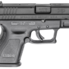 Springfield Gear Up Package XD Sub-Compact 9mm, Pouch, Bag, Case, Holster, 5x10rd Mags, CA Legal