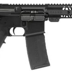 Talon Armament TAR15, .300 Blackout, 10.5", 30rd, Buffer Tube, Black