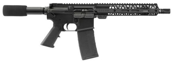 Talon Armament TAR15, .300 Blackout, 10.5", 30rd, Buffer Tube, Black