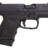 Walther PPS .40 S&W 6 Round, 2 Mags