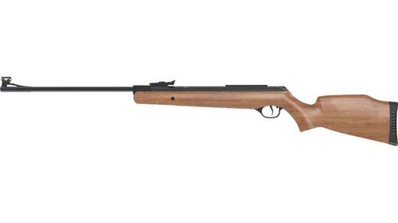 Umarex RWS Model 3400, .22 Pellet, 19.5" Barrel, Monte Carlo Hardwood Stock