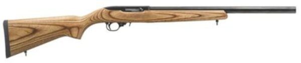 Ruger 10/22 22 LR 20" Brown Laminate Blue