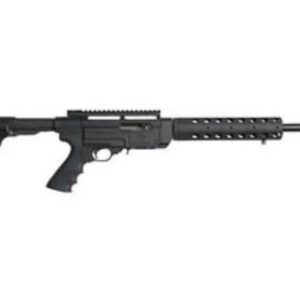 Ruger SR22, 22LR, 16", 10rd, Black Synthetic Collapsible Stock