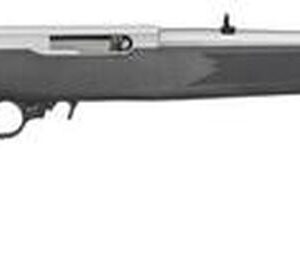 Ruger 10/22 22LR Carbine, 18" Barrel, SS Finish, 10 Rnd Mag