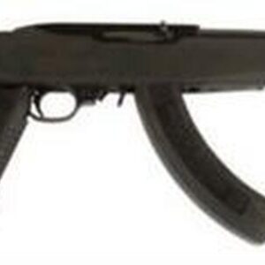Ruger 10/22, TAPCO Assault Stock, Flash Suppressor and 25 Round Magazine