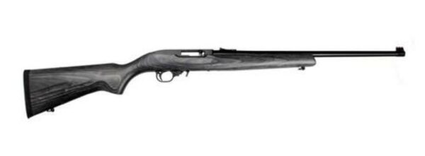 Ruger 10/22 Deluxe Sporter Bl/Lam, , 25 rd