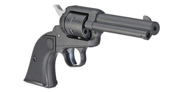 Ruger Wrangler, .22 LR, 4.62" Barrel, 6rd, Black