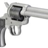 Ruger Wrangler, .22 LR, 4.62" Barrel, 6rd, Silver