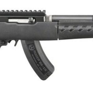 Ruger 22 Charger Takedown Railed Brace Mount 22 LR, Lightweight 10" Threaded Barrel,15Rd Mag, Includes Bipod