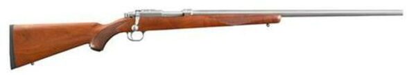 Ruger 77/22 Rifle 24" Barrel, Matte SS, 10 Rd Rotary Mag