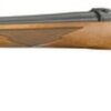 Ruger 77/17 17 WSM, 20" Blued, Fixed Stock Right Hand, 6rd