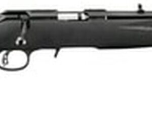 Ruger American Rimfire Standard 22LR, 18", Black, 10rd