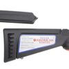 Ruger American 17.HMR 22" Black