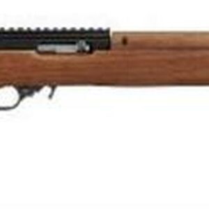 Ruger 10/22 M1 Carbine 22lr TALO Exclusive 15 Rd Mag