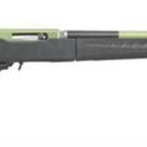 Ruger 10/22 Takedown Lite 22LR 16" Barrel 10 Rd Mag