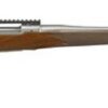 Ruger Hawkeye Hunter .30-06 Springfield, 22" Barrel, American Walnut, Satin Stainless, 4rd