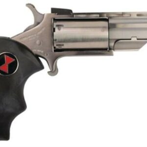 NAA 22 Black Widow 22LR 2" 5rd Fixed Sight Black Rubber Grip Stainless