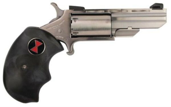 NAA 22 Black Widow 22LR 2" 5rd Fixed Sight Black Rubber Grip Stainless