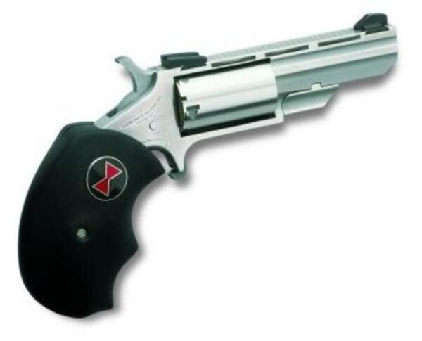 North American Arms NAA 22lr 2 Black Widow Ss As