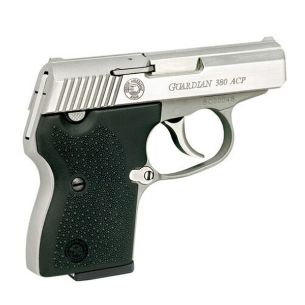 NAA 380 Guardian 380 ACP, 2.5" Barrel, DAO, Black/Stainless, 6rd
