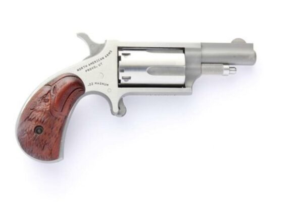 North American Arms NAA 22Mag/22LR Convertible 1-5/8" SS, Holster, Eagle Grip