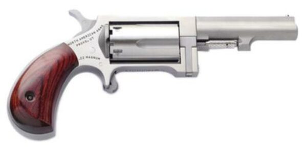 NAA Sidewinder 22 Magnum Single 22 WMR, 2.5" 5