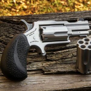 North American Arms NAA Bug Out II 22lr/22 MAG 2" Barrel XS Sight Rubber Grips, TALO Edition