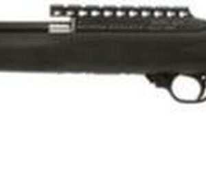 Magnum Lite Graphite 22LR 17" Graphite Barrel French Grey Finish Hogue Overmolded Stock 10 Round