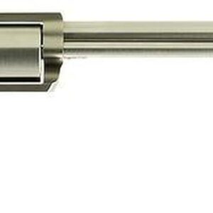 Magnum Research BFR Long Cylinder SS Single 45-70 Government 10" 5 Biesley Stainless