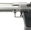 Magnum Research Desert Eagle Mark XIX, 429 DE, 6" Barrel, 7rd, Stainless Steel