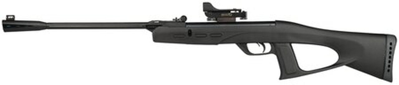Gamo Recon G2 Whisper, .177, Green Dot Sight, Fluted Barrel, Youth, Black