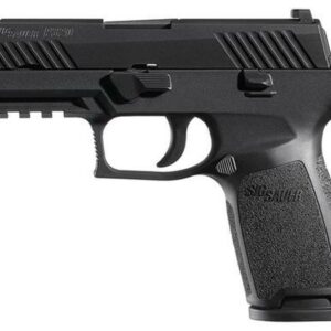 Sig Black Nitron Finish 45 ACP Contrast Sights (2) 10rd Magazines