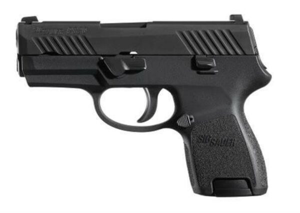 Sig P320 40 SW 3.6In Nitron Black, Striker Siglite Modular Polymer Grip (2) 10Rd Steel MAG Rail