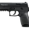 Sig P250 22LR 3.9In Nitron Black DAO Adjustable Sights Modular Polymer Grip (2) 10Rd Poly MAG