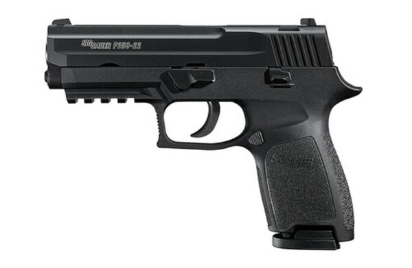 Sig P250 22LR 3.9In Nitron Black DAO Adjustable Sights Modular Polymer Grip (2) 10Rd Poly MAG