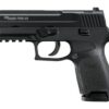 Sig P250 22LR 3.9In Nitron Black DAO Adjustable Sights Modular Polymer Grip (2) 10Rd Poly MAG