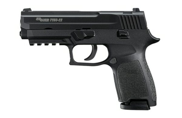 Sig P250 22LR 3.9In Nitron Black DAO Adjustable Sights Modular Polymer Grip (2) 10Rd Poly MAG