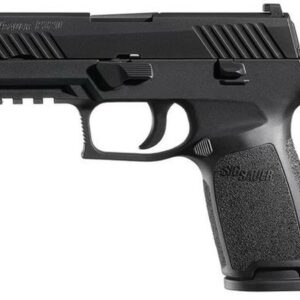 Sig P320 40 SW 3.9In Nitron Black, Striker Siglite Modular Polymer Grip (2) 14Rd Steel MAG Rail