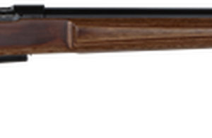 CZ 457 AT-One Varmint, .17 HMR, 24" Barrel, 5rd, Boyd Adjustable Stock